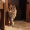 Photo of Sugar
