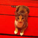 Photo of Shayleigh