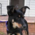 Photo of Charlotte