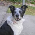 Photo of Miss Clancy (On Trial 28/7/13)