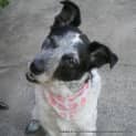 Photo of Miss Clancy (On Trial 28/7/13)