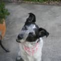 Photo of Miss Clancy (On Trial 28/7/13)