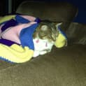 Photo of Sally