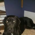 Photo of Miss Molly