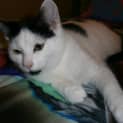 Photo of Ruby