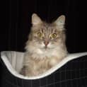 Photo of Sugar