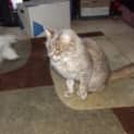 Photo of Sugar