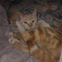 Photo of Baby