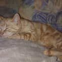 Photo of Baby