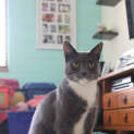 Photo of Sparkles