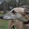Photo of Wanda