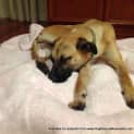 Photo of Yana (On Trial 13/7/13)