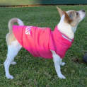 Photo of Angel *On Trial In Her New Home*