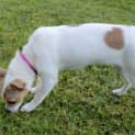 Photo of Angel *On Trial In Her New Home*