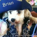 Photo of Brian (On Trial 15/7/13)