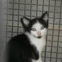 Photo of Milly