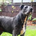 Photo of Hooch