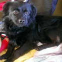 Photo of Clyde