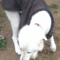Photo of Hamish