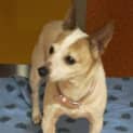 Photo of Bella