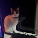 Photo of Milly