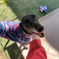 Photo of Ilene