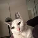 Photo of Sandy