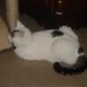 Photo of Gerty