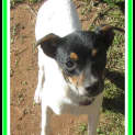 Photo of Willow... Dainty And Delightful!