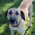 Photo of Roxy