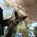 Photo of Tiny