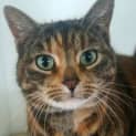 Photo of Tinkerbell