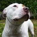 Photo of Charlotte 35248