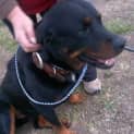 Photo of Kaiser