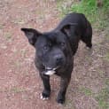 Photo of Casper