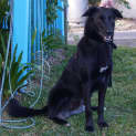 Photo of Will