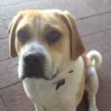Photo of Winston
