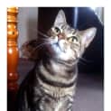 Photo of Tweedy