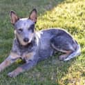Photo of Amy ... A Beautiful Natured Girl!