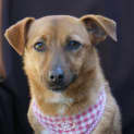 Photo of Dora