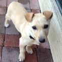 Photo of Narla