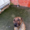 Photo of Deefa