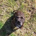 Photo of Minky