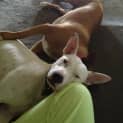 Photo of Casper