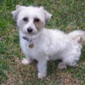 Photo of Pippi