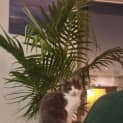 Photo of Ralph