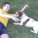 Photo of Jack (2) (On Trial 8/9/13)