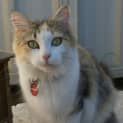 Photo of Hazel