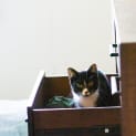 Photo of Annie