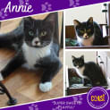 Photo of Annie